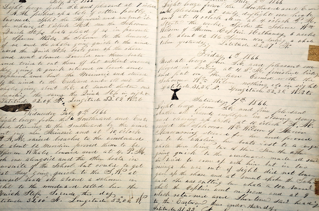 Travel log texture